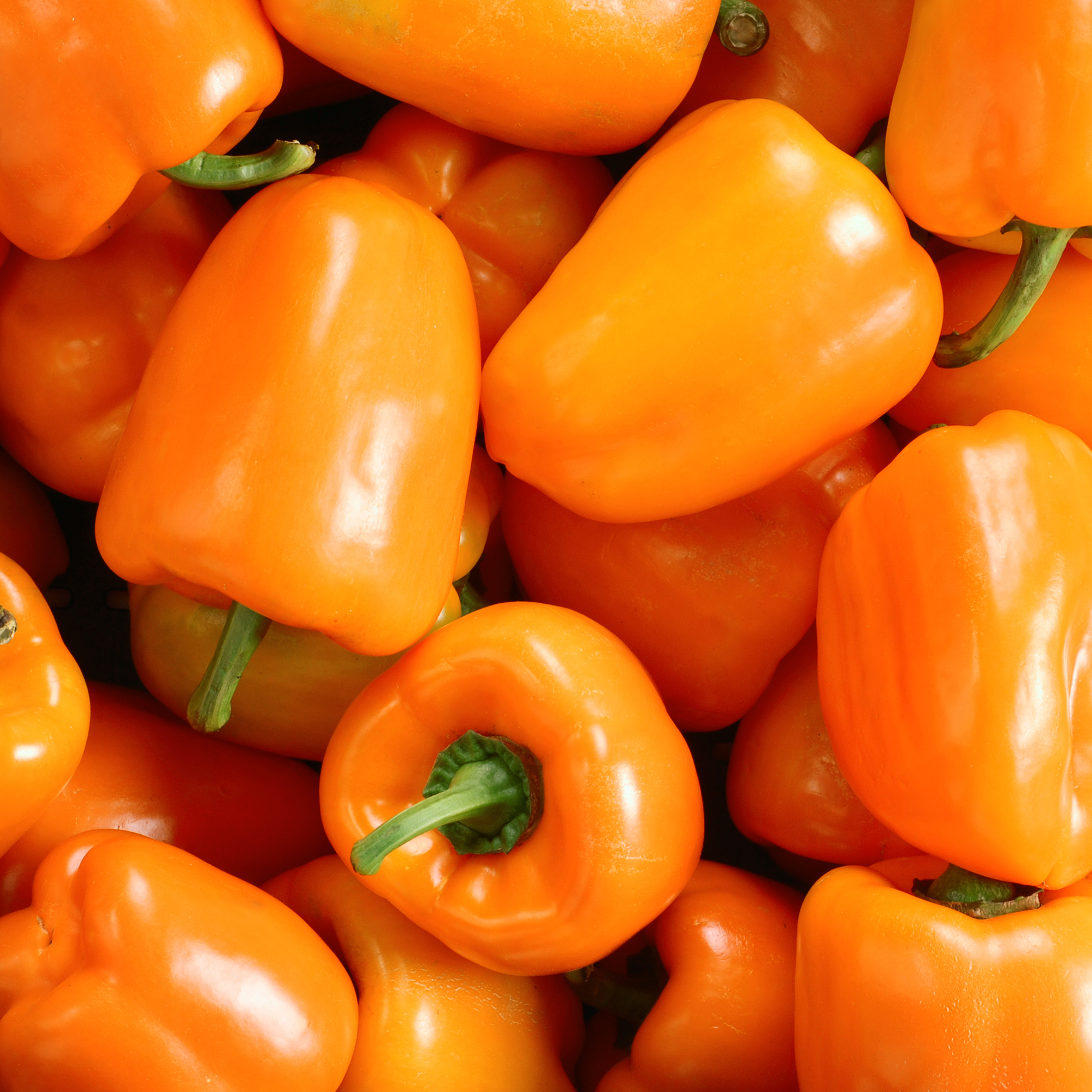 Orange Sweet Pepper
