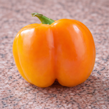 Organic 'Doe Hill' Orange Pepper