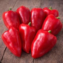 Sweet Pepper Lipstick