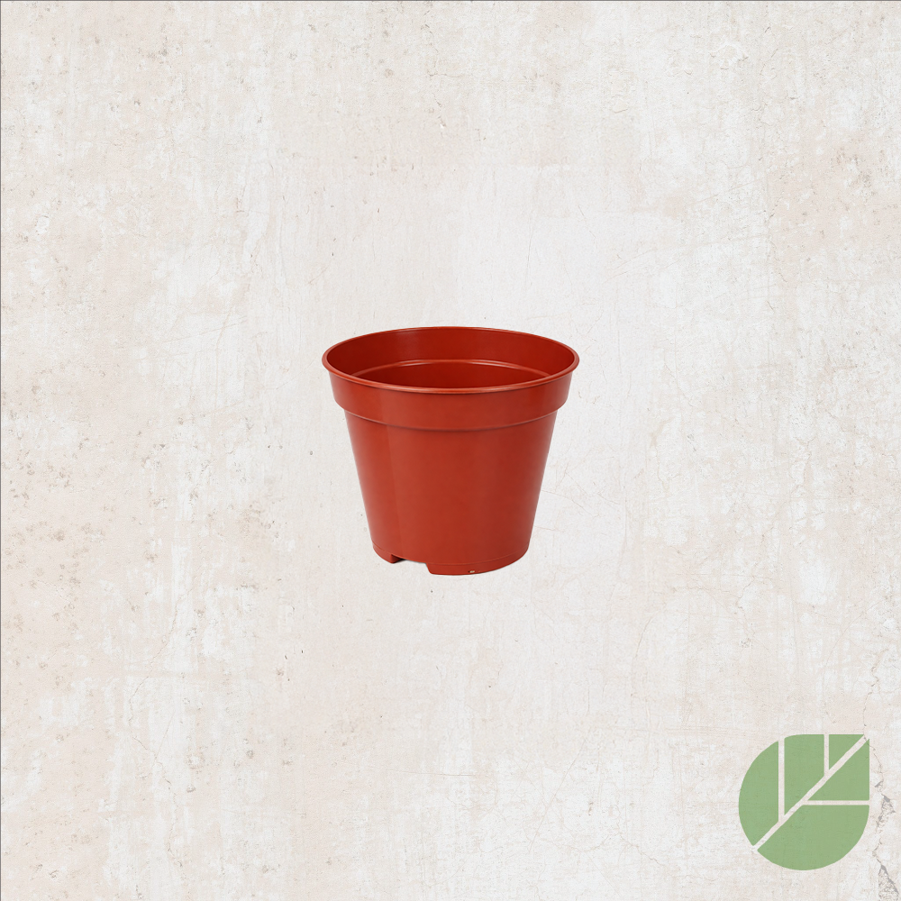 Plastic grow pot with drainage 