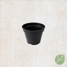 Plastic grow pot with drainage 