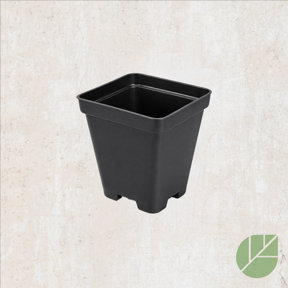 Black square plastic grow pot with drainage 