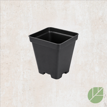 Black square plastic grow pot with drainage 