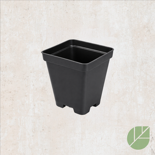 Black square plastic grow pot with drainage 