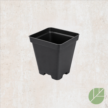 Pot de culture en plastique carré noir avec drainage
