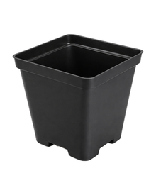 Pot de culture en plastique carré noir avec drainage — photo sur fond blanc