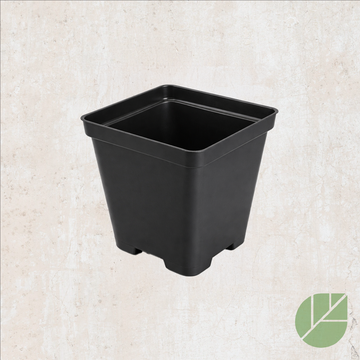 Pot de culture en plastique carré noir avec drainage