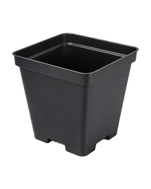 Pot de culture en plastique carré noir avec drainage — photo sur fond blanc