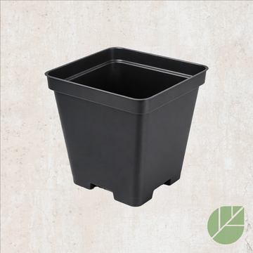 Pot de culture en plastique carré noir avec drainage