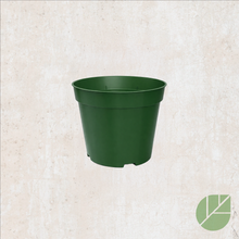 Plastic grow pot with drainage 