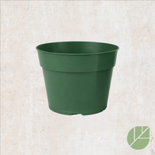 Pot de culture en plastique avec drainage