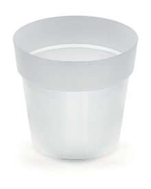 Pot transparent en plastique Properplast pour orchidée — photo sur fond blanc