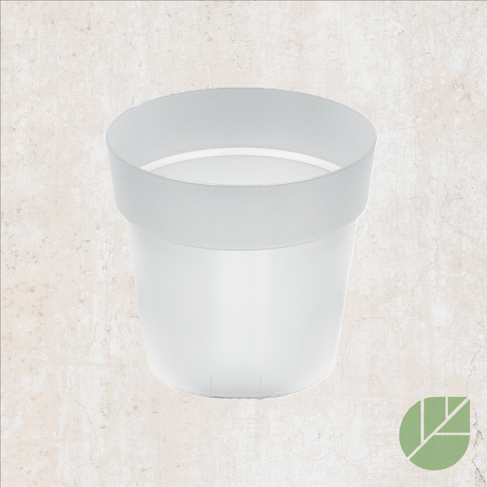 Properplast transparent plastic pot for orchids