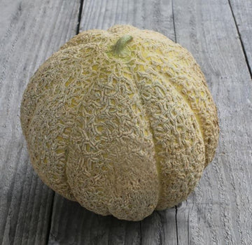 Organic 'Pride of Wisconsin' Cantaloupe