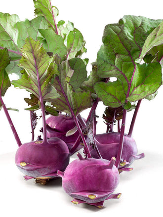 Plusieurs renflements de chou-rave mauves se détachent sur un fond blanc, avec de fines tiges pourpres qui montent vers des feuilles vertes. Les bases arrondies sont légèrement aplaties et portent quelques petites marques claires. Les nervures des feuilles reprennent la couleur des tiges. Des ombres grises apparaissent sous les renflements, regroupés au premier plan de l’image.