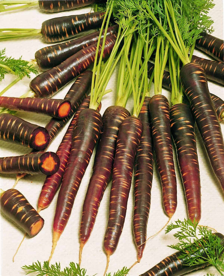 Organic Purple Carrot 'Brumeuse'