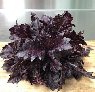 Organic 'Purple Ruffles' Basil Seeds by Gaia, product image prepared for Canadian gardeners.