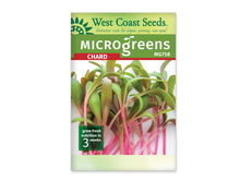 Sachet blanc West Coast Seeds pour micropousses de bette à carde, portant le nom Chard en rouge sous un bandeau vert. La photo montre des feuilles vertes allongées sur de fines tiges roses à magenta, dressées devant un fond blanc. Le code MG758 figure en haut à droite. Un encadré vert indique trois semaines au bas du sachet.