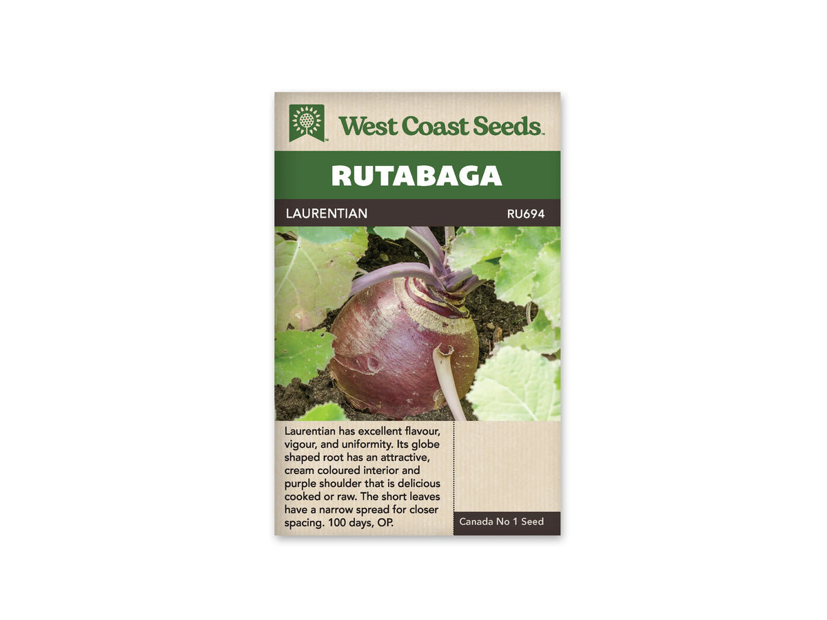 Sachet West Coast Seeds Laurentian montrant un rutabaga rond dans une terre sombre. Sa couronne violette dépasse du sol sous de larges feuilles vertes. Les pétioles présentent des nuances pourpres près de la racine. Le nom de la variété est inscrit dans le bandeau brun au-dessus de cette scène du potager.