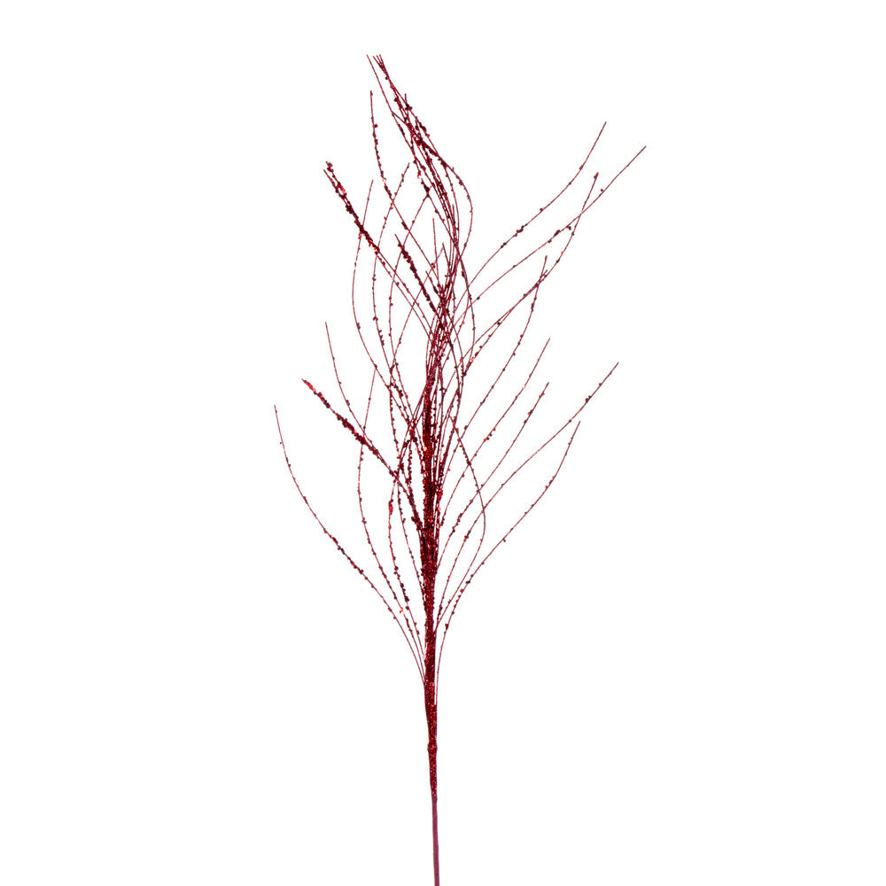 Spr Rameau  Rouge  37"