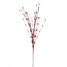 Spr Baies  Rouge  36"