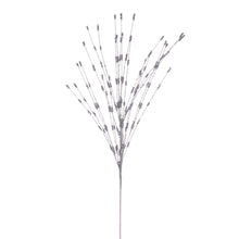 Spr Baies  Arg.  36"