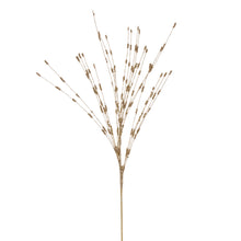 Spr Baies  Or  36"