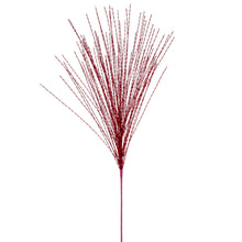 Spr Étoile  Rouge  31"