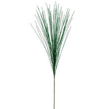 Spr Étoile  Vert  31"