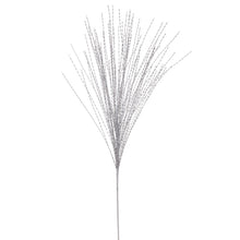 Spr Étoile  Arg.  31"