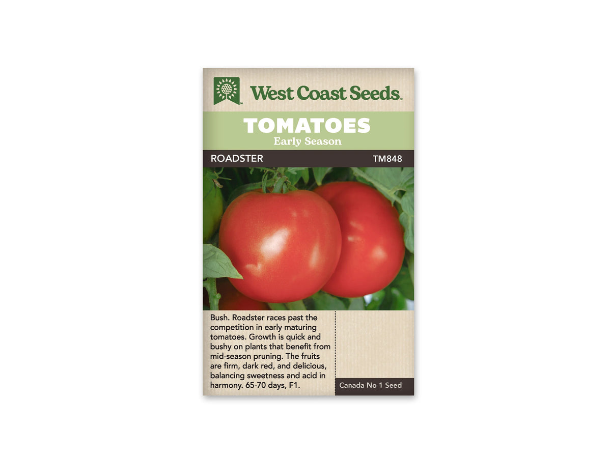 Sachet West Coast Seeds portant les mentions Tomatoes, Early Season et Roadster. La photo montre deux grosses tomates rouges, lisses et brillantes, près de feuilles vertes. Une zone claire se reflète sur le fruit au premier plan. Le nom et le code TM848 figurent sur une bande sombre sous les bandeaux verts de la marque.