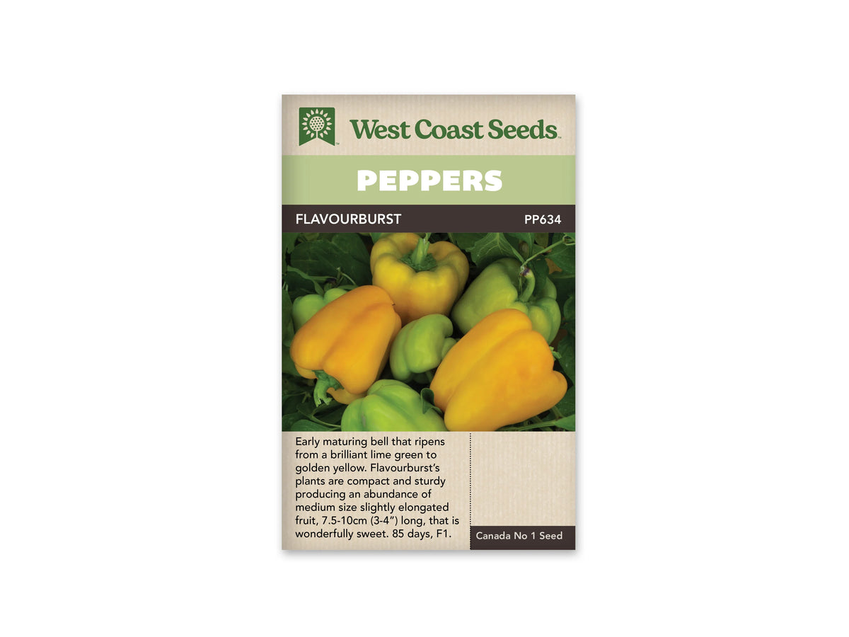 Sachet West Coast Seeds de poivron Flavourburst, avec un bandeau vert pâle portant le mot Peppers. La photo présente des fruits jaunes allongés et lobés parmi des poivrons vert clair et des feuilles vertes. Le nom Flavourburst et le code PP634 apparaissent sur une bande sombre, au-dessus de cette récolte aux couleurs vives.