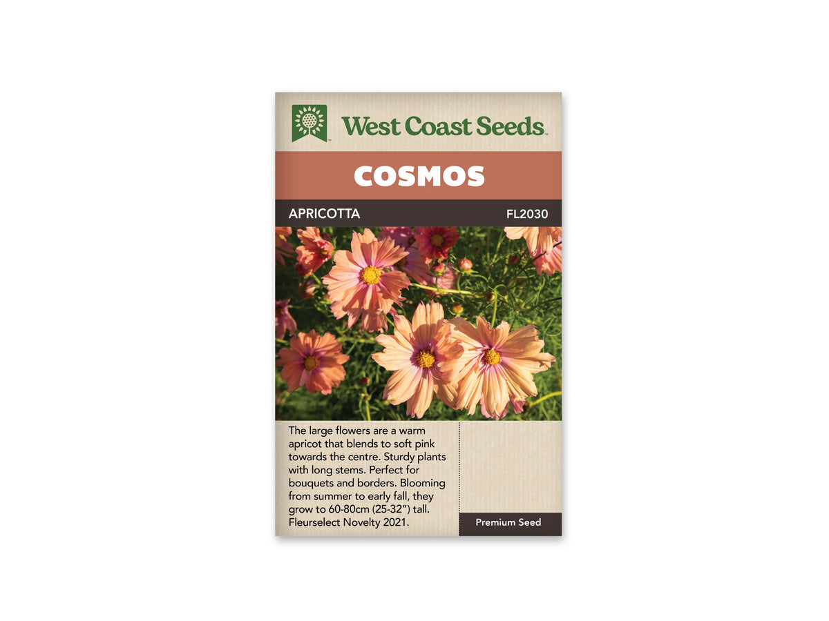 Sachet Apricotta de West Coast Seeds sur fond blanc. La photo montre plusieurs fleurs abricot et roses autour de centres jaunes, avec des pétales larges légèrement froissés. Des boutons et un feuillage vert fin remplissent les espaces entre les fleurs. Le bandeau orangé indique Cosmos; Apricotta et la référence FL2030 se lisent dans la bande brune.