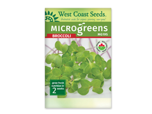 Sachet blanc West Coast Seeds pour micropousses de brocoli, avec un bandeau vert et le nom Broccoli en rouge. La photo montre de jeunes pousses aux feuilles vertes arrondies et aux tiges fines, réunies en une touffe dense. Le code MG195 apparaît près du titre. Le logo biologique canadien est visible à droite et le délai de deux semaines en bas.