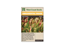 Sachet West Coast Seeds Ruby Grass montrant de fines tiges au milieu d’un feuillage vert. Les panicules soyeuses présentent des tons rouge foncé, rose, crème et beige clair. Plusieurs se croisent à des hauteurs différentes. La lumière fait ressortir leurs petits poils brillants, tandis que d’autres tiges restent plus sombres en arrière-plan.