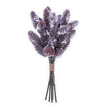 Pick Pomme Pin  Enn.  13"  Bot/6