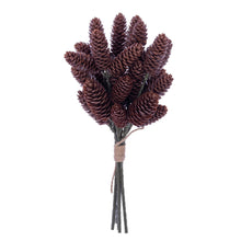 Spr Pomme Pin  Br  13"  Bot/6