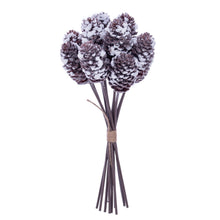 Tige Pomme Pin  Enn.  17"  Bot12