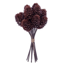 Tige Pomme Pin  Br  14"  Bot12