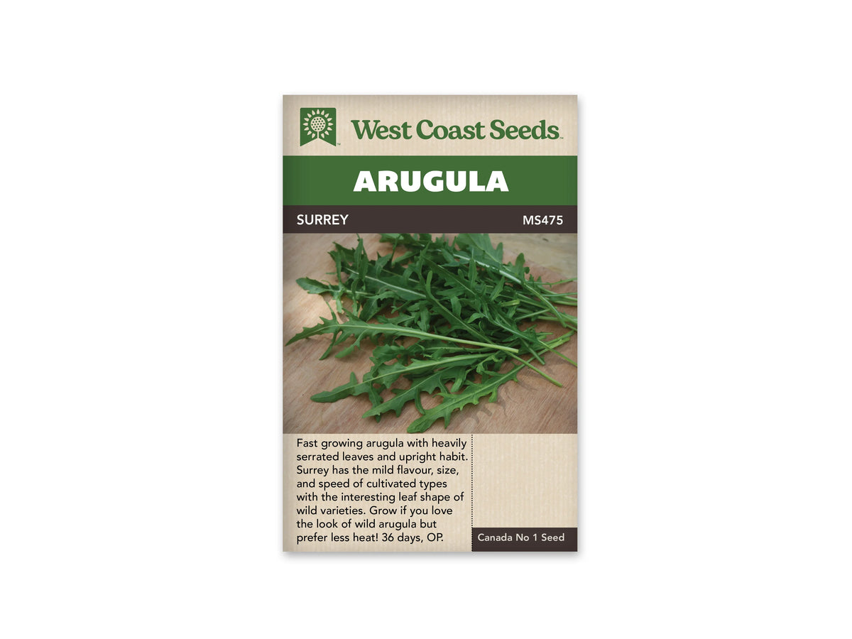 Sachet de semences de roquette Surrey de West Coast Seeds, présenté de face sur fond blanc. Le nom Surrey et la référence MS475 sont inscrits sous le bandeau vert Arugula. La photographie centrale montre une poignée de feuilles vertes allongées, profondément découpées, avec leurs pétioles, déposées sur une planche de bois. La partie beige inférieure contient des renseignements de culture en anglais.