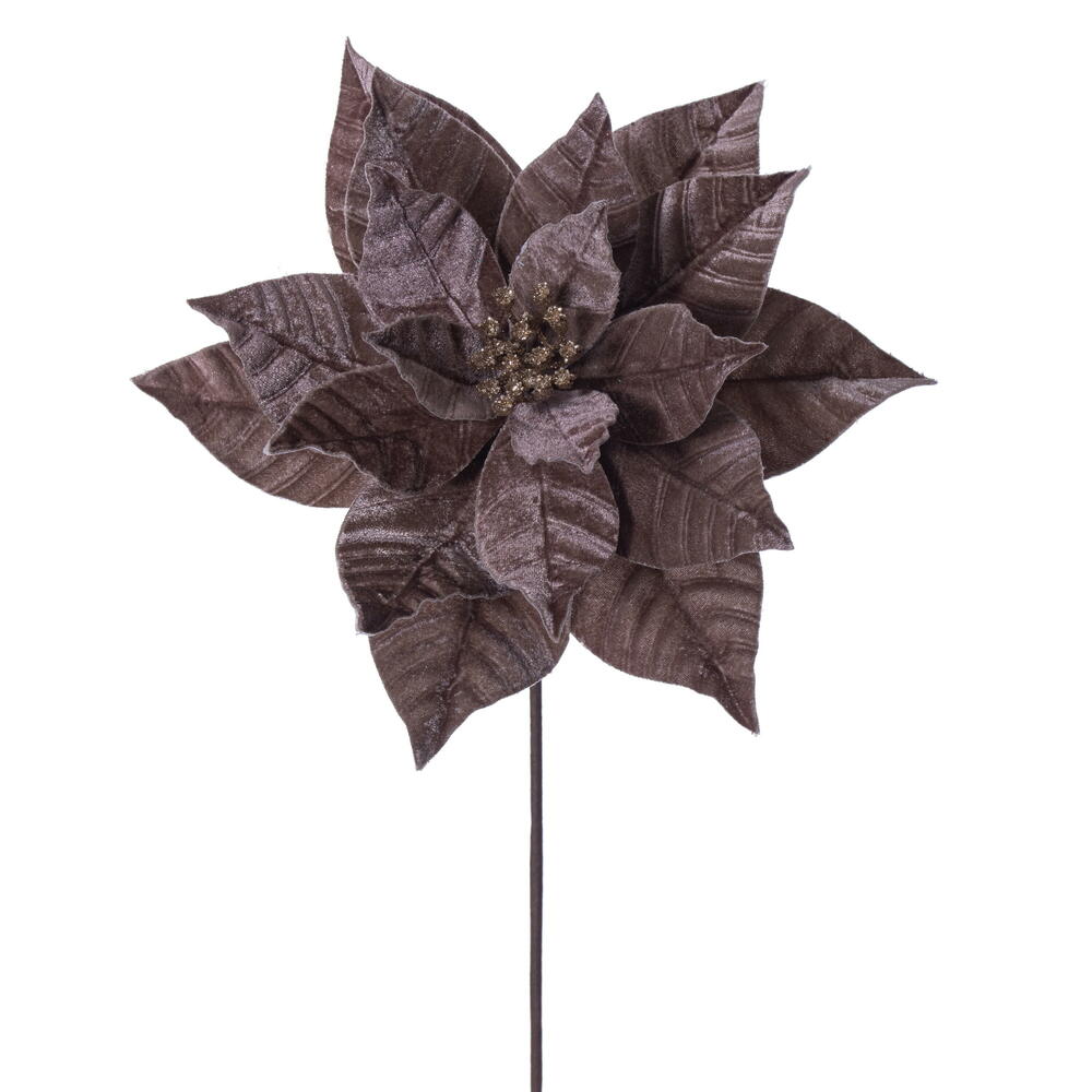 Poinsettia  Mocha  21.5"
