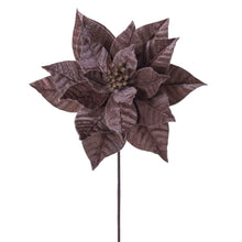 Poinsettia  Mocha  21.5"