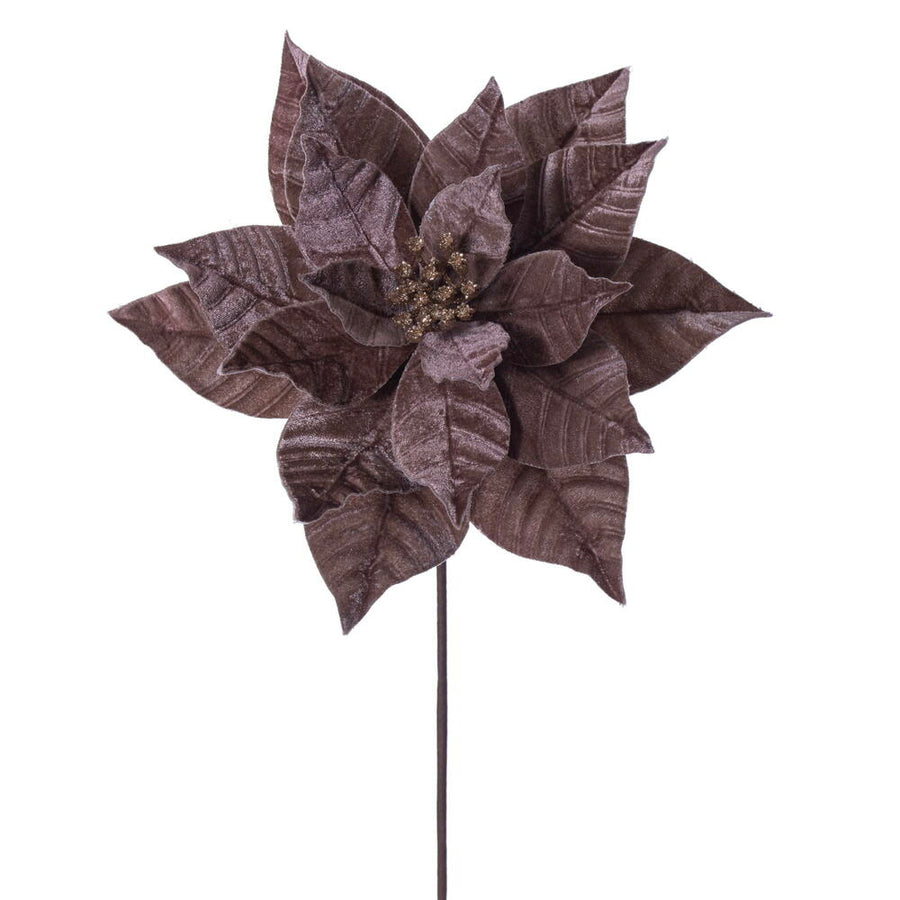 Poinsettia  Mocha  21.5"