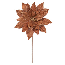 Poinsettia  Mocha  21.5"