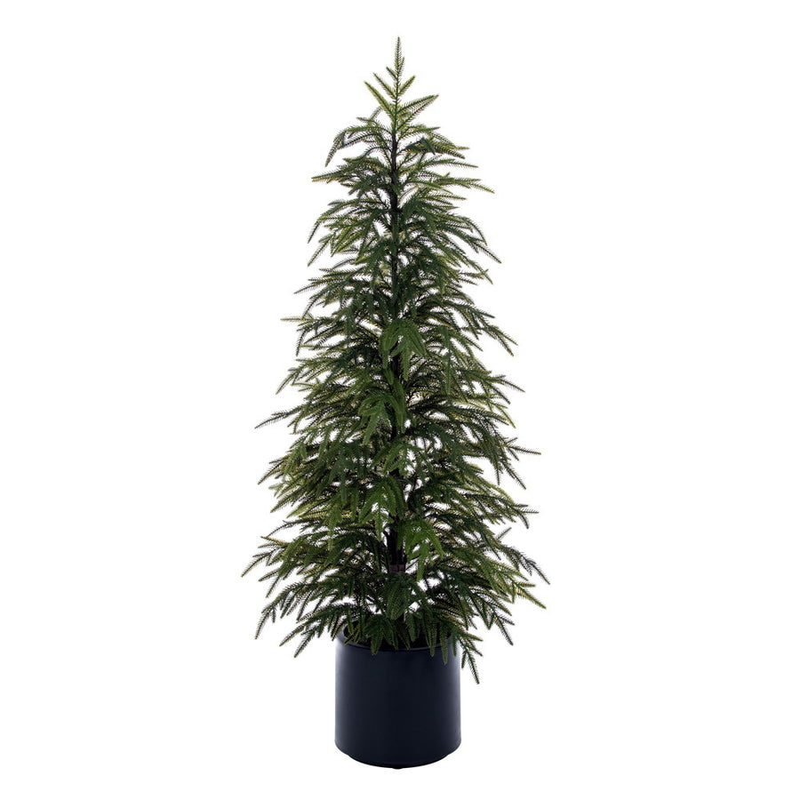 Sapin Poinçon  Vert  4'