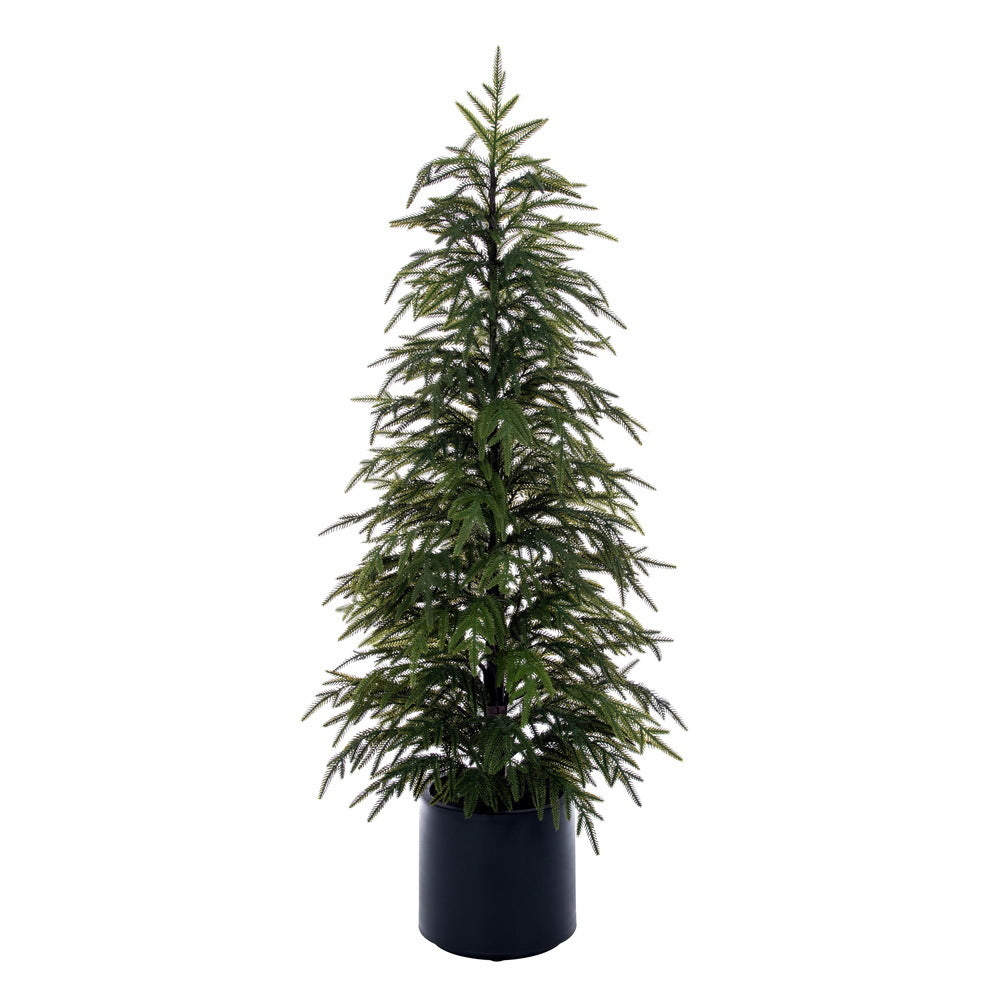 
                          Sapin Poinçon  Vert  4'
                        
