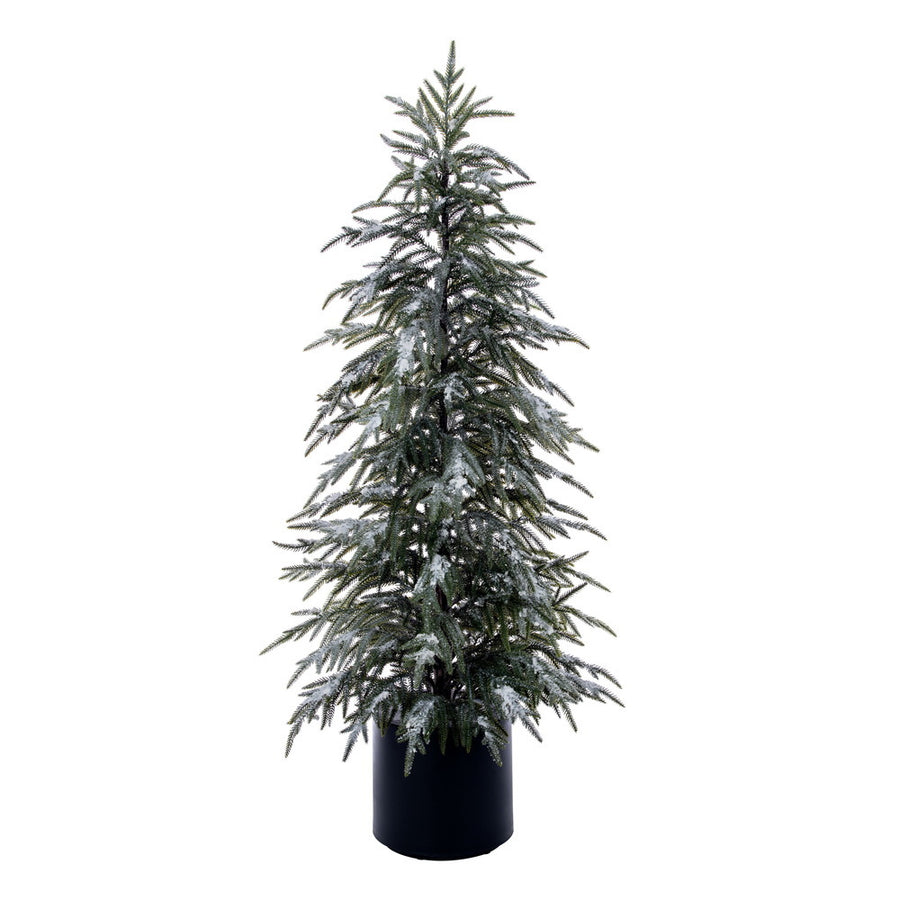 Sapin Poinçon  Enneigé  4'