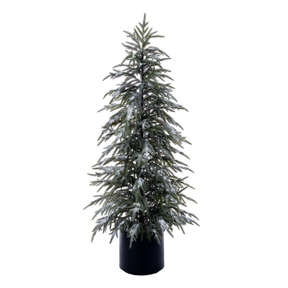 
                          Sapin Poinçon  Enneigé  4'
                        