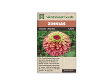 Sachet West Coast Seeds Queeny Lime Red, illustré d’une fleur double sur un fond de feuilles vertes. De larges pétales rose foncé entourent des rangs plus pâles, teintés de vert lime. Le cœur est rose soutenu. La photo se trouve entre le bandeau brun du nom et le texte beige au bas du sachet.