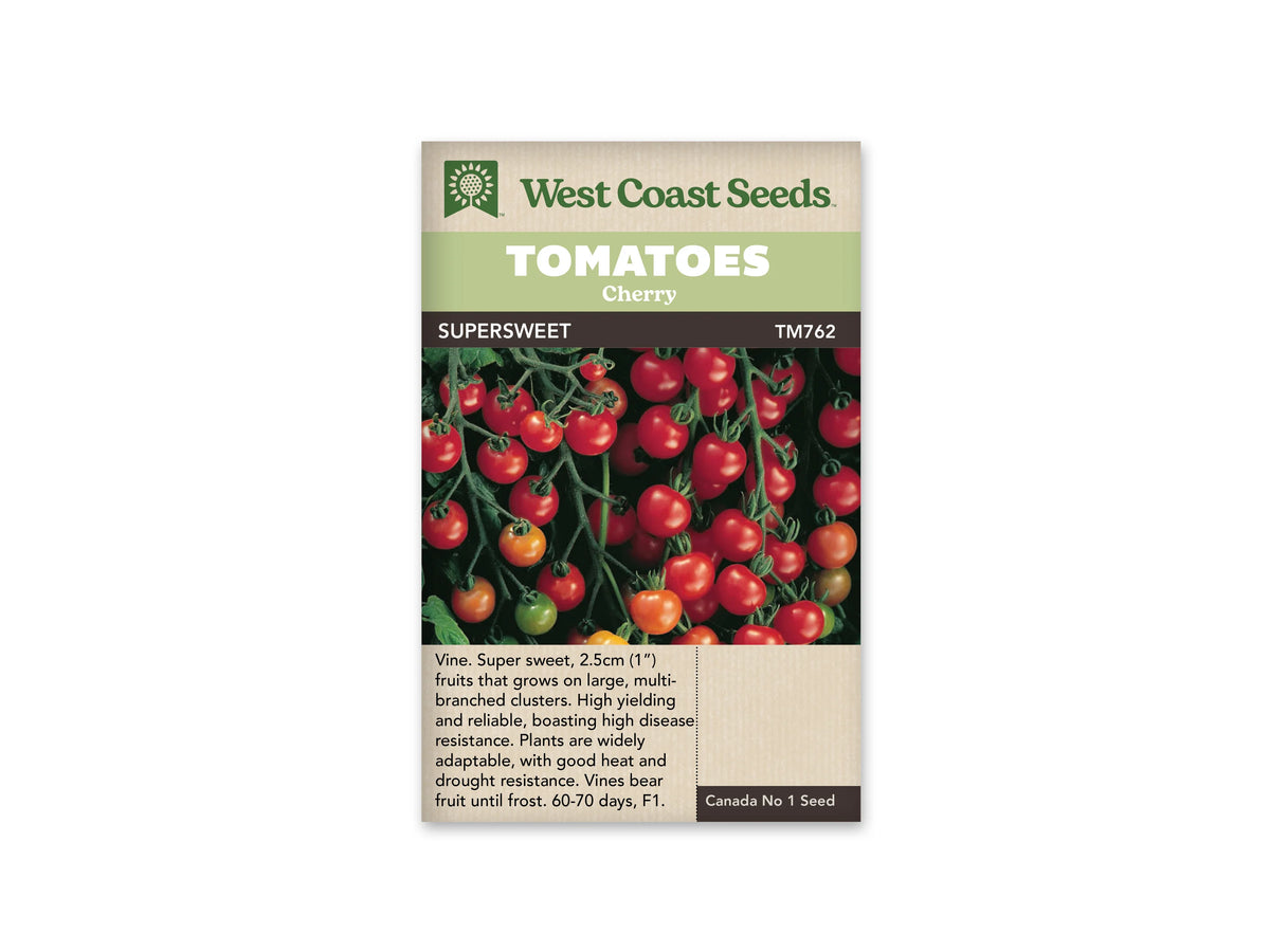 Sachet West Coast Seeds portant les mentions Tomatoes, Cherry et Supersweet. La photo montre de nombreuses petites tomates rouges sur des tiges ramifiées, avec quelques fruits encore orangés ou verts. Le feuillage forme un fond sombre. Le nom de la variété et la référence TM762 se trouvent sur une bande foncée sous le bandeau vert.